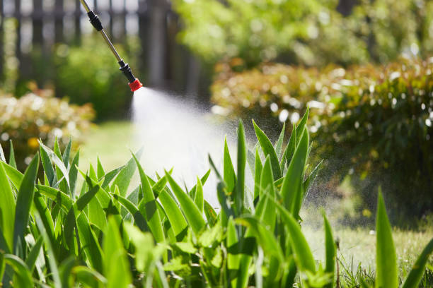Void Injection for Cockroach Colonies in Farmers Loop